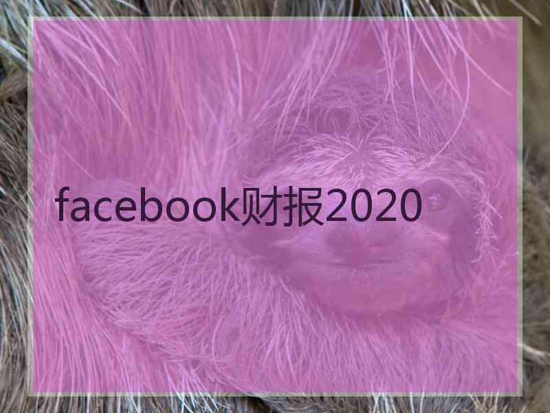 facebook财报2020