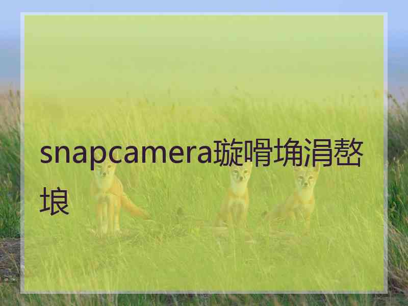 snapcamera璇嗗埆涓嶅埌