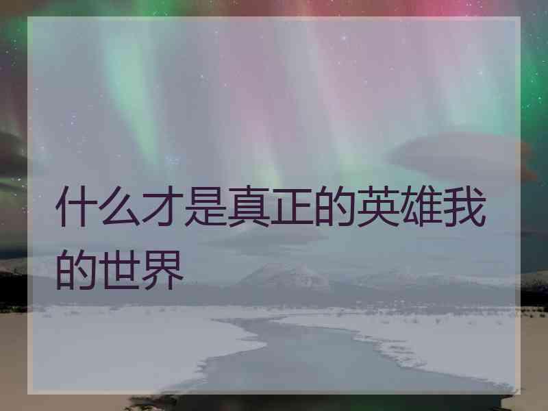 什么才是真正的英雄我的世界