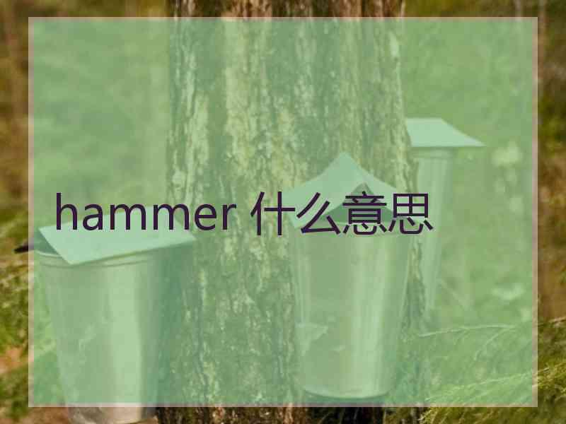 hammer 什么意思