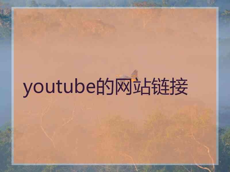 youtube的网站链接