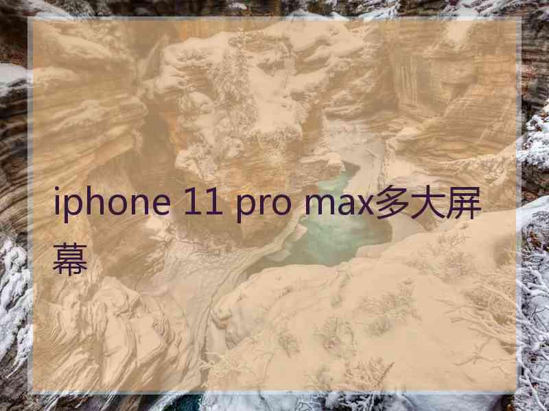 iphone 11 pro max多大屏幕