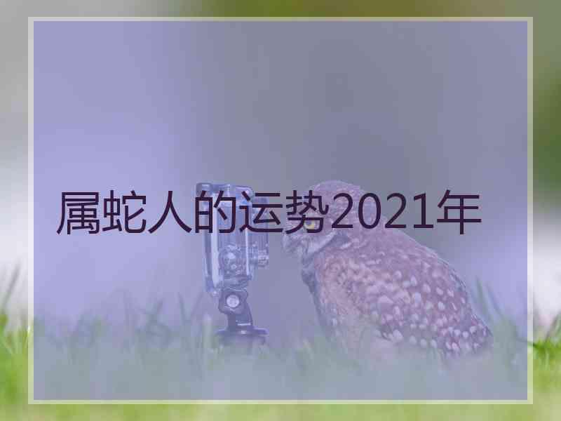 属蛇人的运势2021年