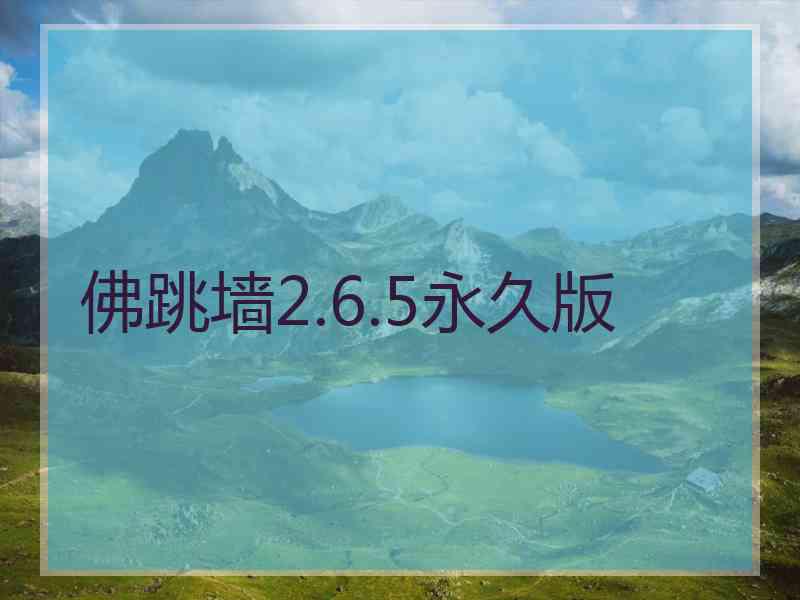 佛跳墙2.6.5永久版