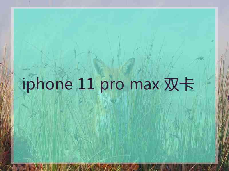 iphone 11 pro max 双卡