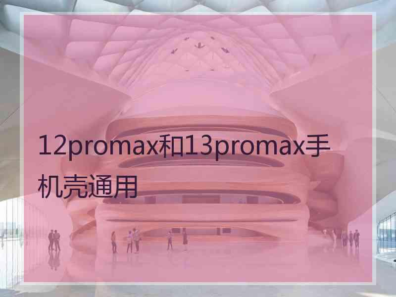 12promax和13promax手机壳通用