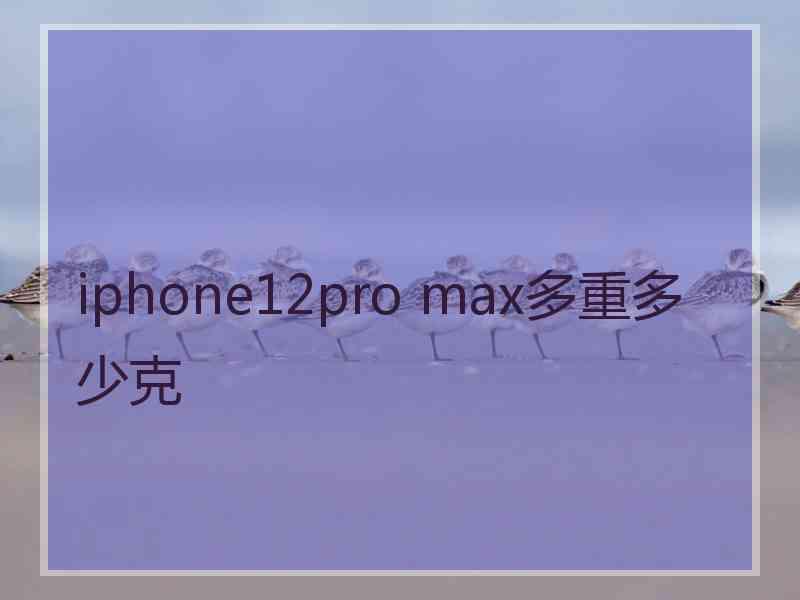 iphone12pro max多重多少克