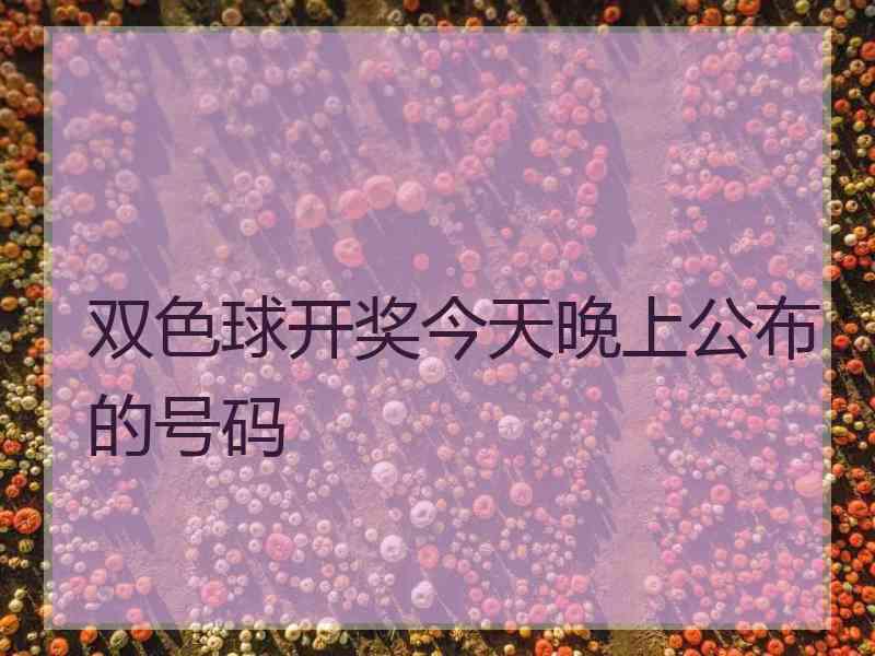 双色球开奖今天晚上公布的号码