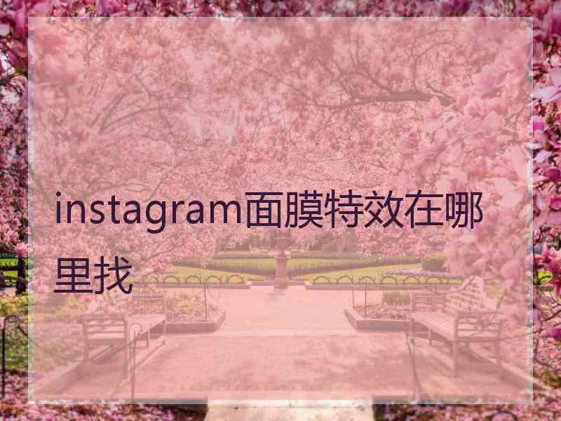 instagram面膜特效在哪里找