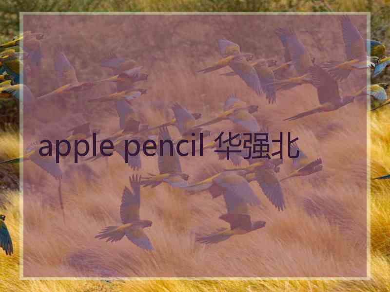 apple pencil 华强北