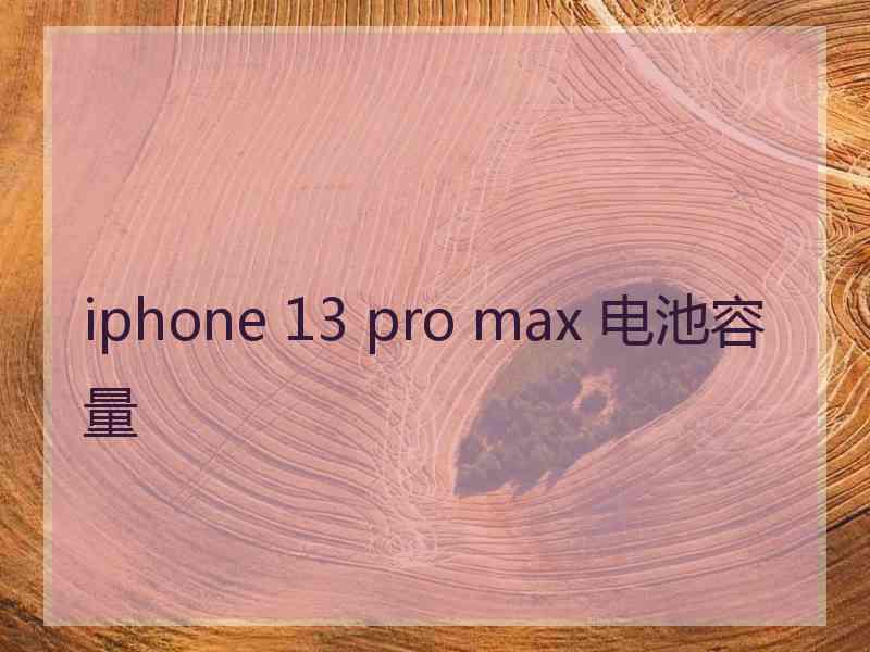 iphone 13 pro max 电池容量