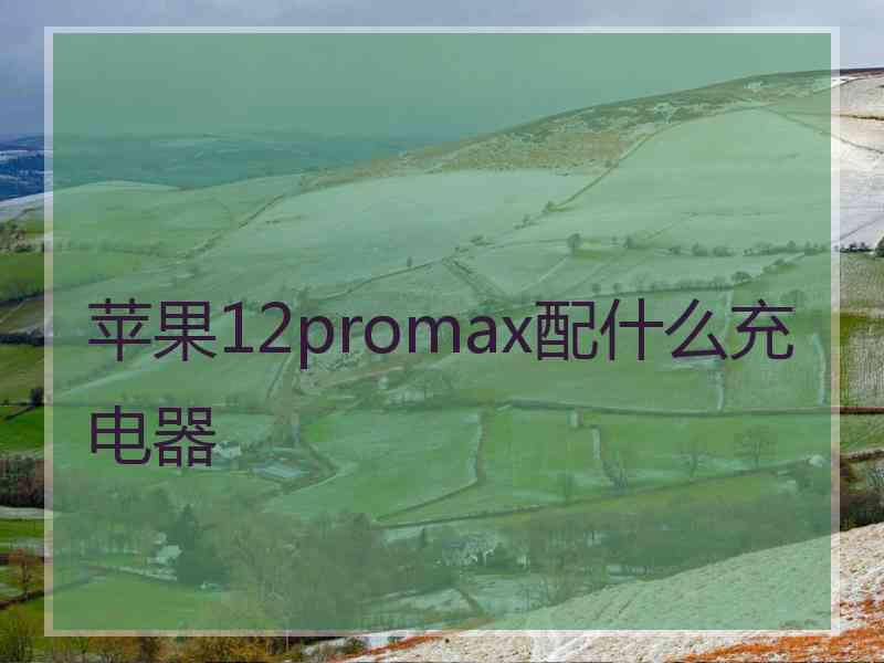 苹果12promax配什么充电器