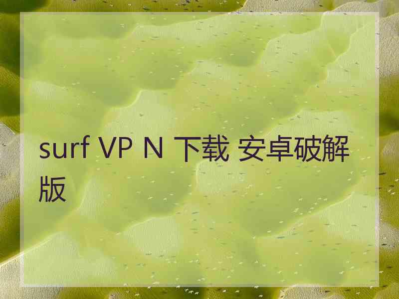 surf VP N 下载 安卓破解版