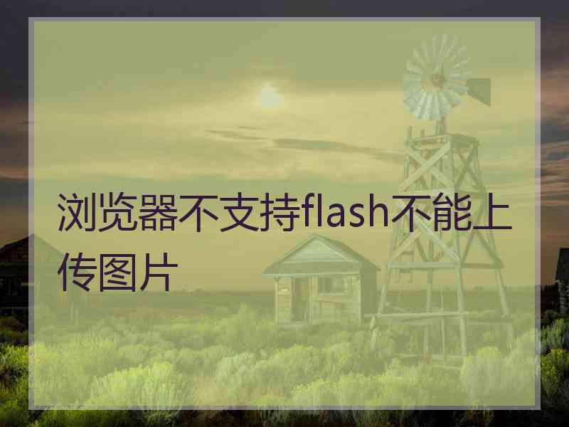 浏览器不支持flash不能上传图片