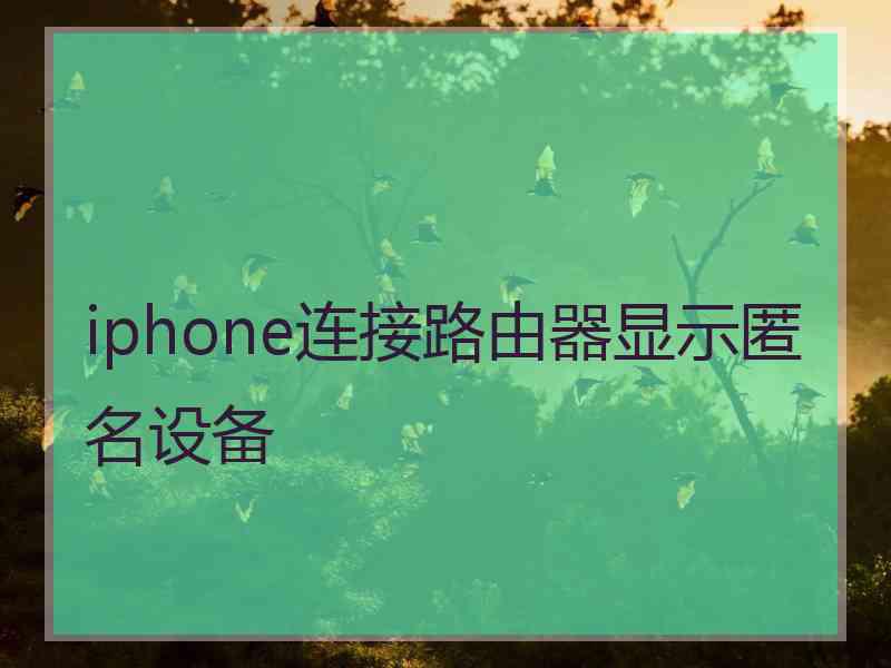 iphone连接路由器显示匿名设备