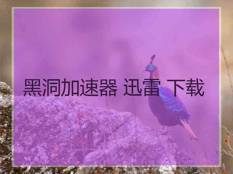 黑洞加速器 迅雷 下载