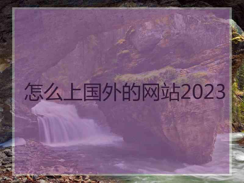 怎么上国外的网站2023