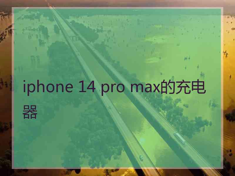 iphone 14 pro max的充电器