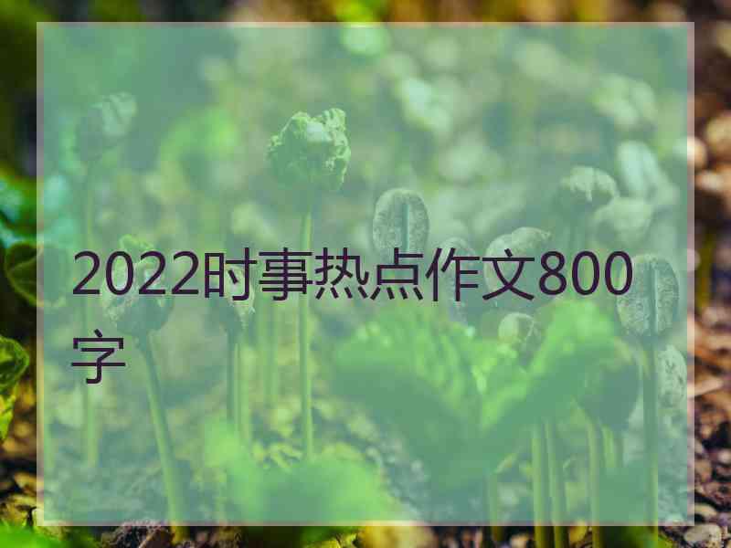 2022时事热点作文800字