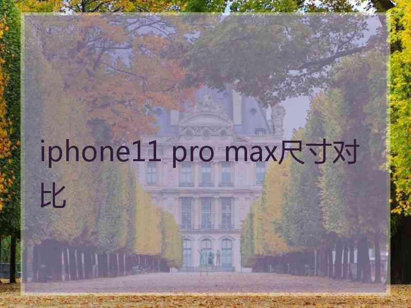 iphone11 pro max尺寸对比