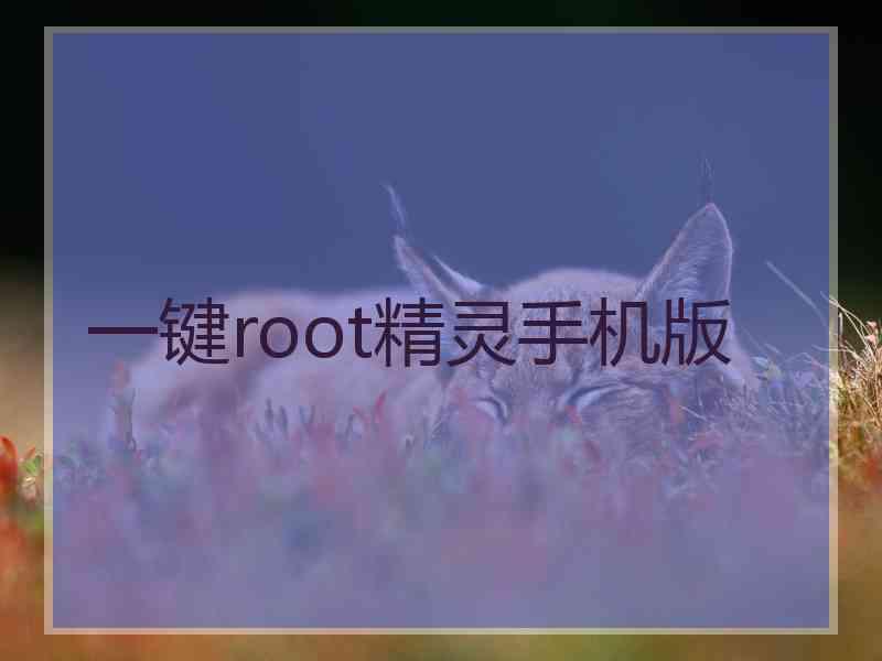 一键root精灵手机版