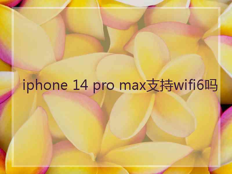 iphone 14 pro max支持wifi6吗