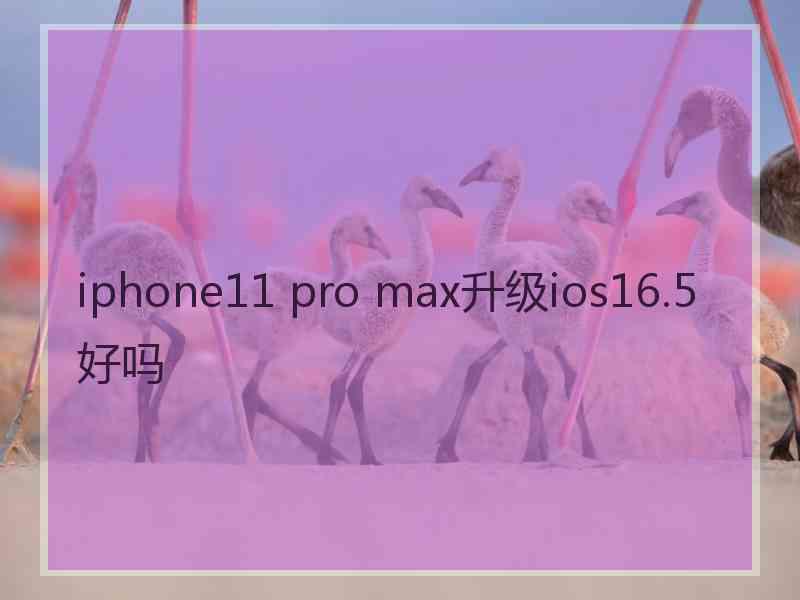 iphone11 pro max升级ios16.5好吗