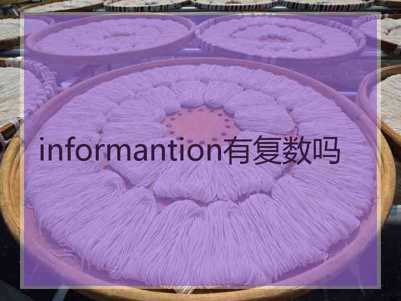 informantion有复数吗