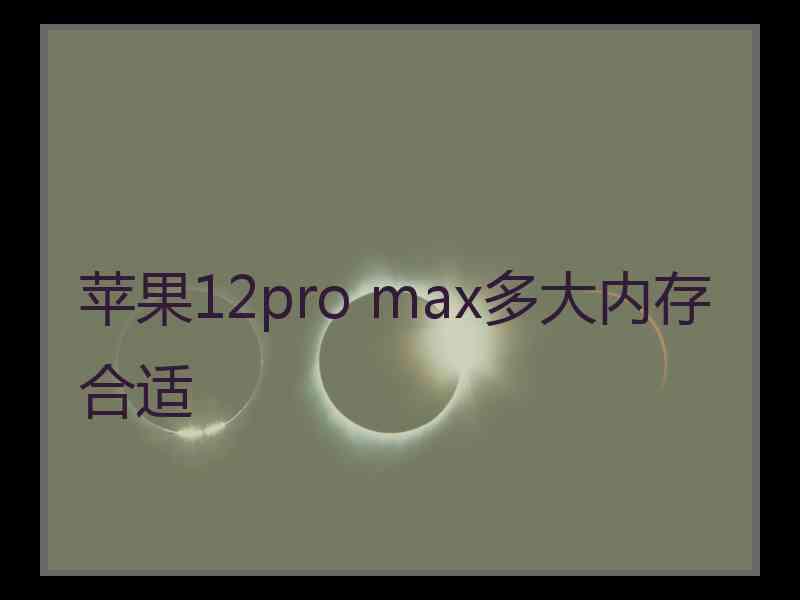 苹果12pro max多大内存合适