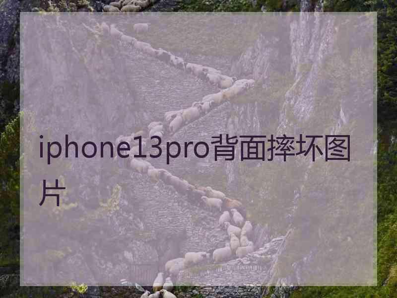 iphone13pro背面摔坏图片