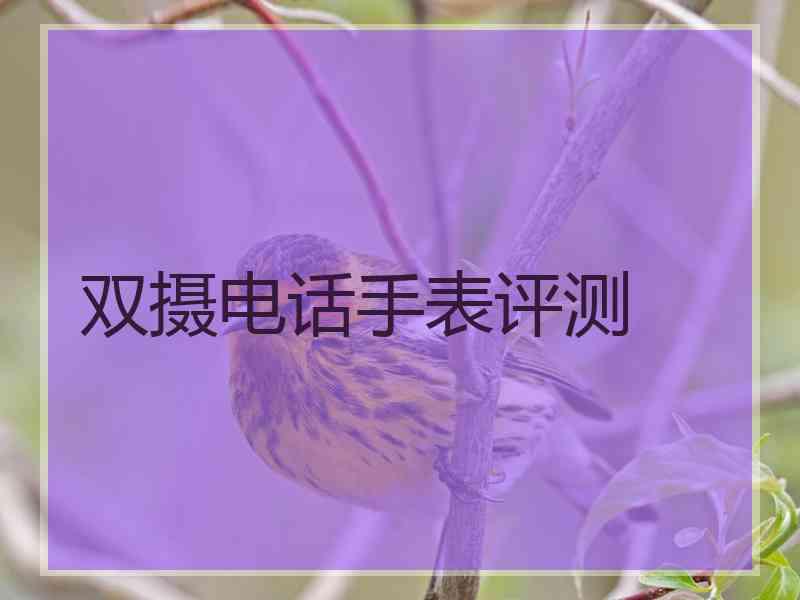 双摄电话手表评测