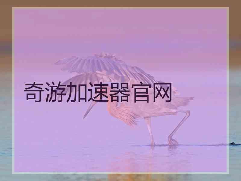 奇游加速器官网