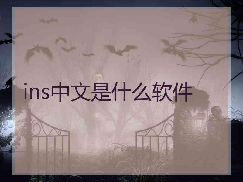 ins中文是什么软件