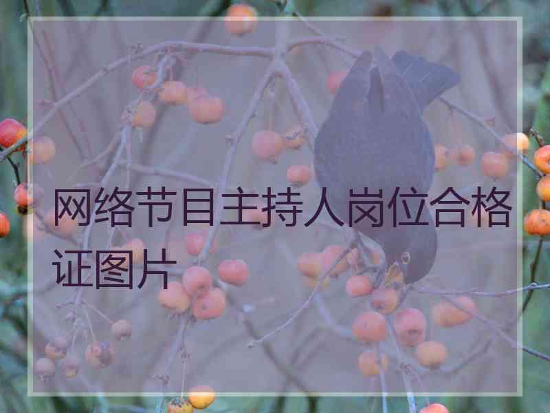 网络节目主持人岗位合格证图片