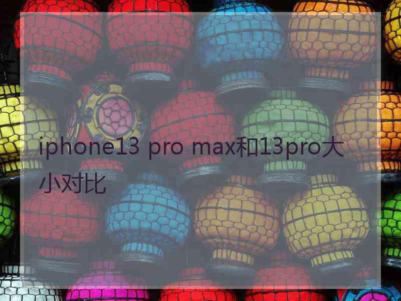 iphone13 pro max和13pro大小对比