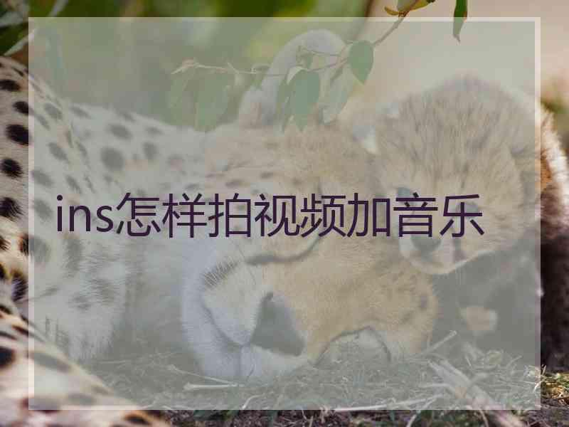 ins怎样拍视频加音乐