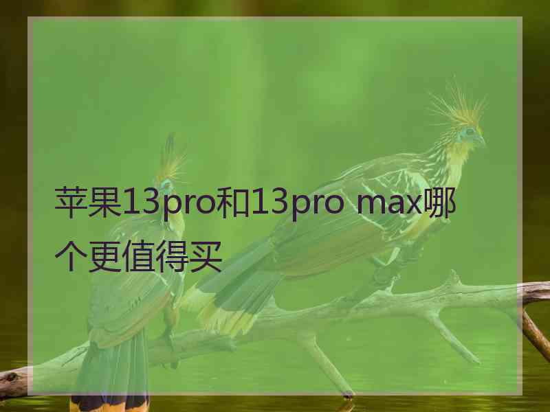 苹果13pro和13pro max哪个更值得买