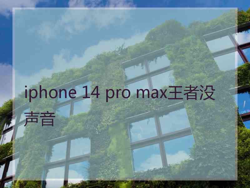 iphone 14 pro max王者没声音