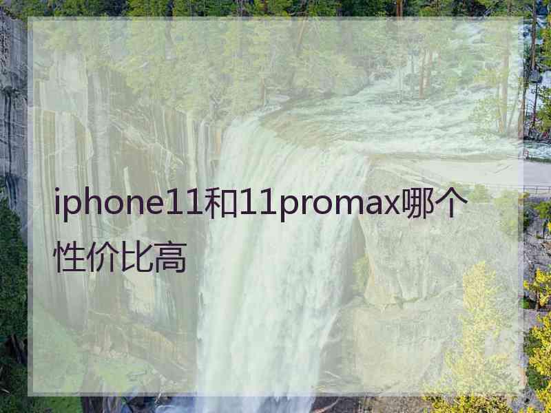 iphone11和11promax哪个性价比高