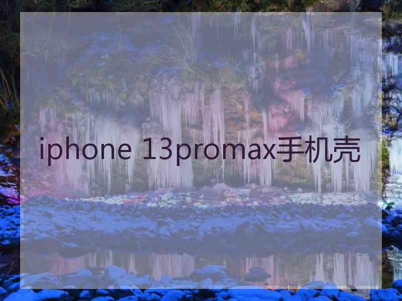 iphone 13promax手机壳