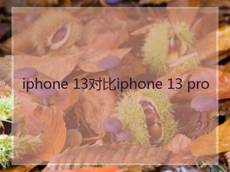 iphone 13对比iphone 13 pro