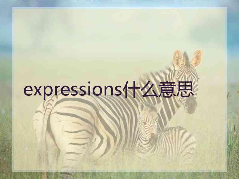 expressions什么意思