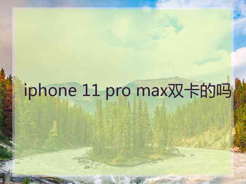 iphone 11 pro max双卡的吗