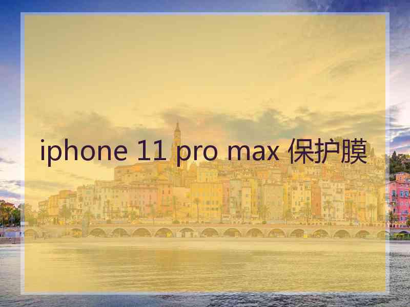 iphone 11 pro max 保护膜