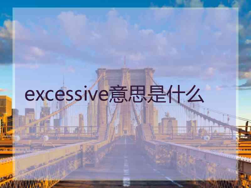 excessive意思是什么