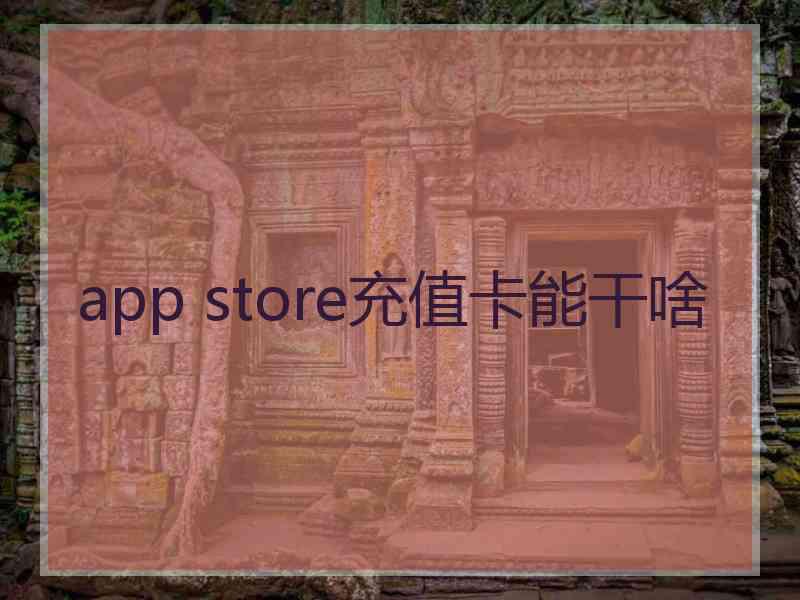 app store充值卡能干啥