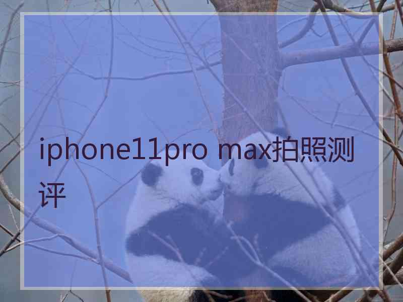 iphone11pro max拍照测评