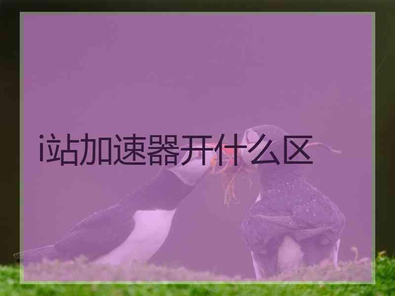 i站加速器开什么区