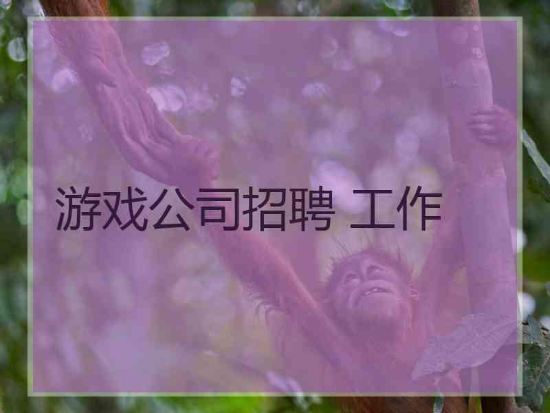 游戏公司招聘 工作