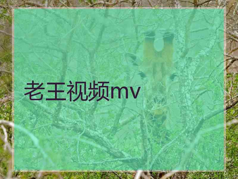 老王视频mv